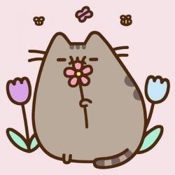 User Profile: joyfulMelon26