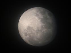 User Profile: Moonbeam99