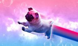 User Profile: proudPudding66