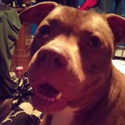 User Profile: Deezo