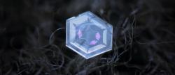 User Profile: Violetxv