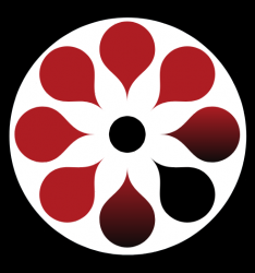 User Profile: Synecdoc