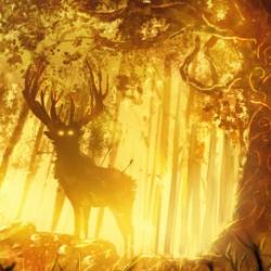 User Profile: AmberGlowFalls