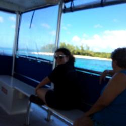 Profile: bruisedbutnotbroken