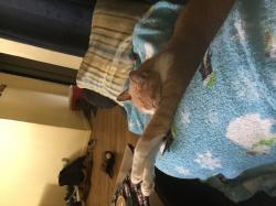 Profile: Jami477123