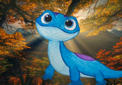 User Profile: miraculousSalamander80