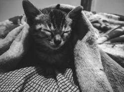 User Profile: peaceshadow07