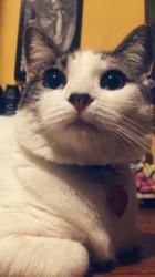 User Profile: BabyKida