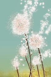 User Profile: gentleflowergirl3