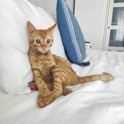 User Profile: ChocolateCupcake24