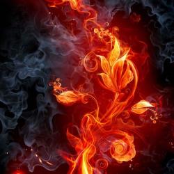 User Profile: FireHeart135