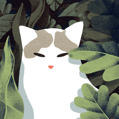 User Profile: Hoodwink