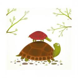 Profile: Boxturtle2020