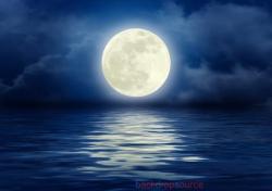 Profile: vMidnightBluesv