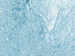 User Profile: IcedFrost