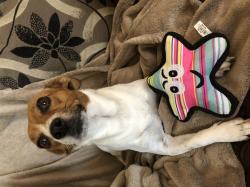 User Profile: JRT95