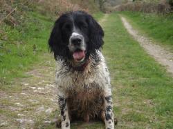 Profile: billysear