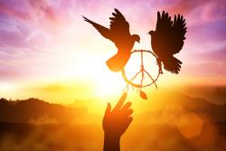 User Profile: wemetbelowstars