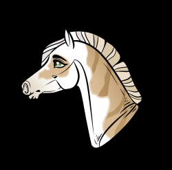 User Profile: ValiantShadow11