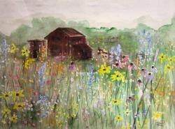 Profile: wildflowerbee