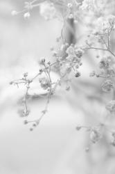 User Profile: wonderfulEmbrace30