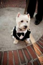 User Profile: DophWestie