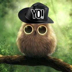 User Profile: Tylluan