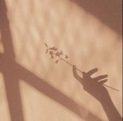 User Profile: ephemeralsonder