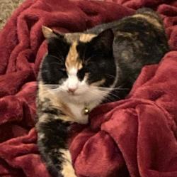 User Profile: gracefulOrange85