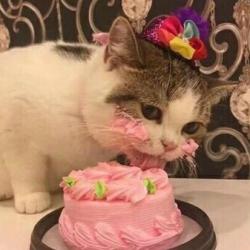 User Profile: natmilss