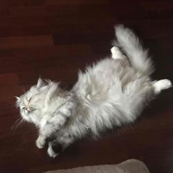 User Profile: lovelySun18