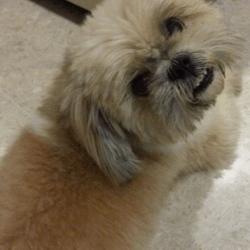 User Profile: infinitrinxx