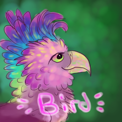 User Profile: IngeniousColorBird03