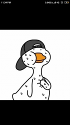 User Profile: Whisperduck