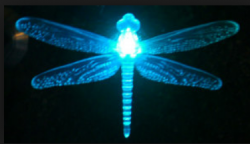 User Profile: Bluedragonflies1
