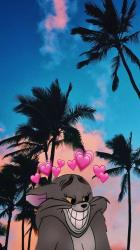 User Profile: comfortableSummer4