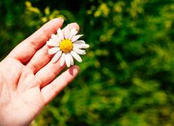 User Profile: wonderousLight61