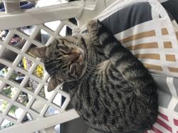 Profile: williehere