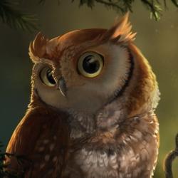 User Profile: MindfulnessOwl