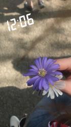 User Profile: compassionateHoney4982