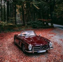 User Profile: ChesterKing005