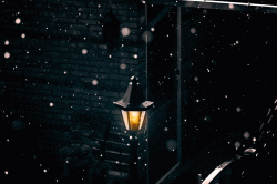 User Profile: LampIntheRain