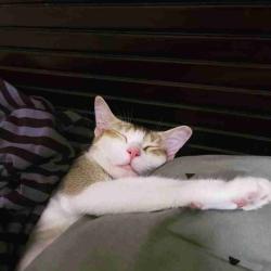 User Profile: luminousSummer7807