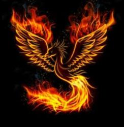 User Profile: smileyphoenix