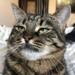 User Profile: irenemo