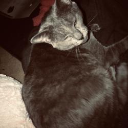 User Profile: kindParadise1837