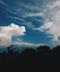 Profile: picturesque03afterthought