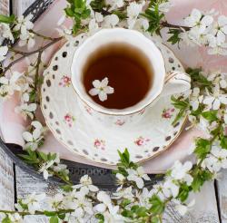 User Profile: AddictedTealover98