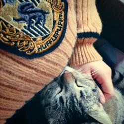 User Profile: CharlieLikesCats999
