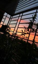 User Profile: contentedLove99